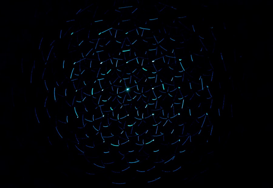 Vignettenpreise 2026